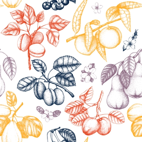 Berry and fruit background. Hand-drawn cherry, plum, peach, apricot, peach apple,sketches. Healthy food seamless pattern. NOT AI generated